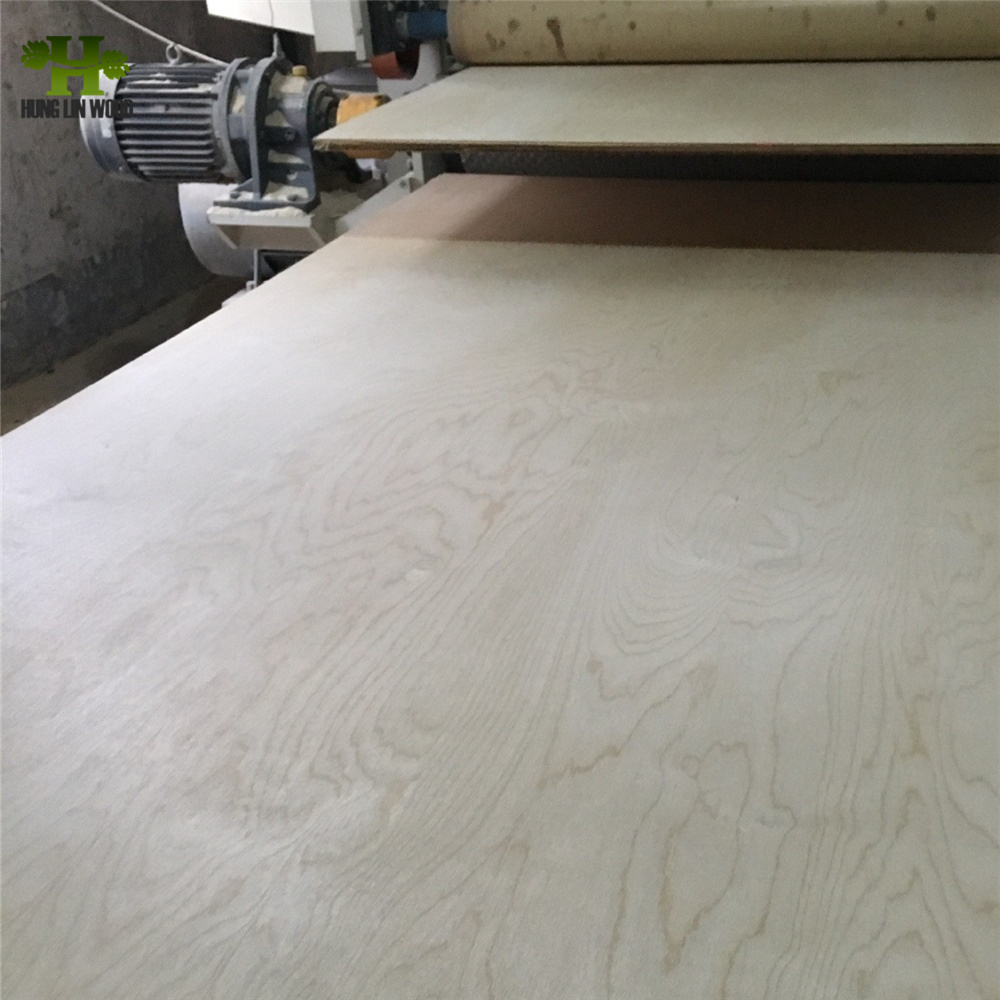 1220*2440mm Commercial Plywood 18mm Birch Face Plywood