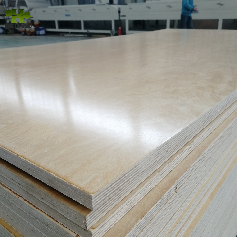 C+ Grade 1220*2440 Hardwood Core UV Coated Birch Plywood