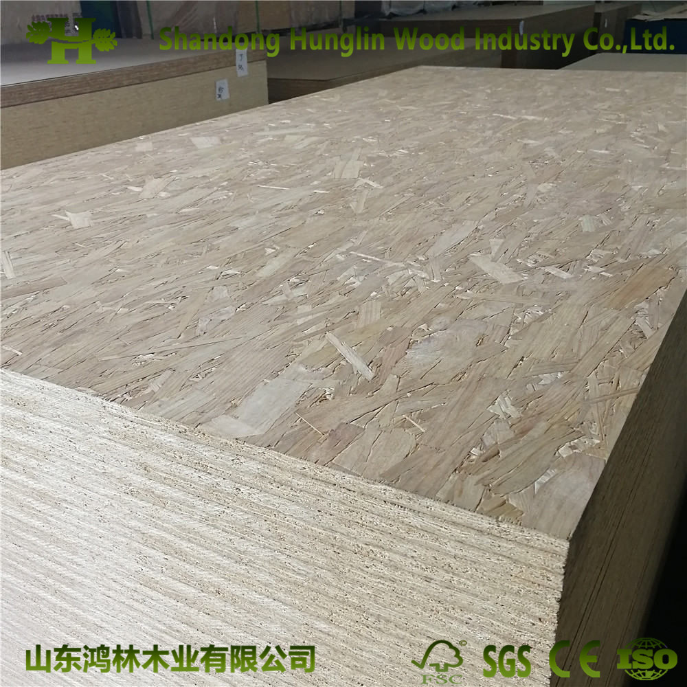 6-18mm OSB (oriented strand board) for Furniture/Construction