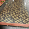 Hot Selling Different Types of Film Faced Plywood From China