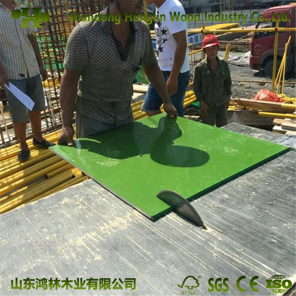Waterproof PP Plastic Formwork/ Film Faced/ Marine Plywood for Concrete From China