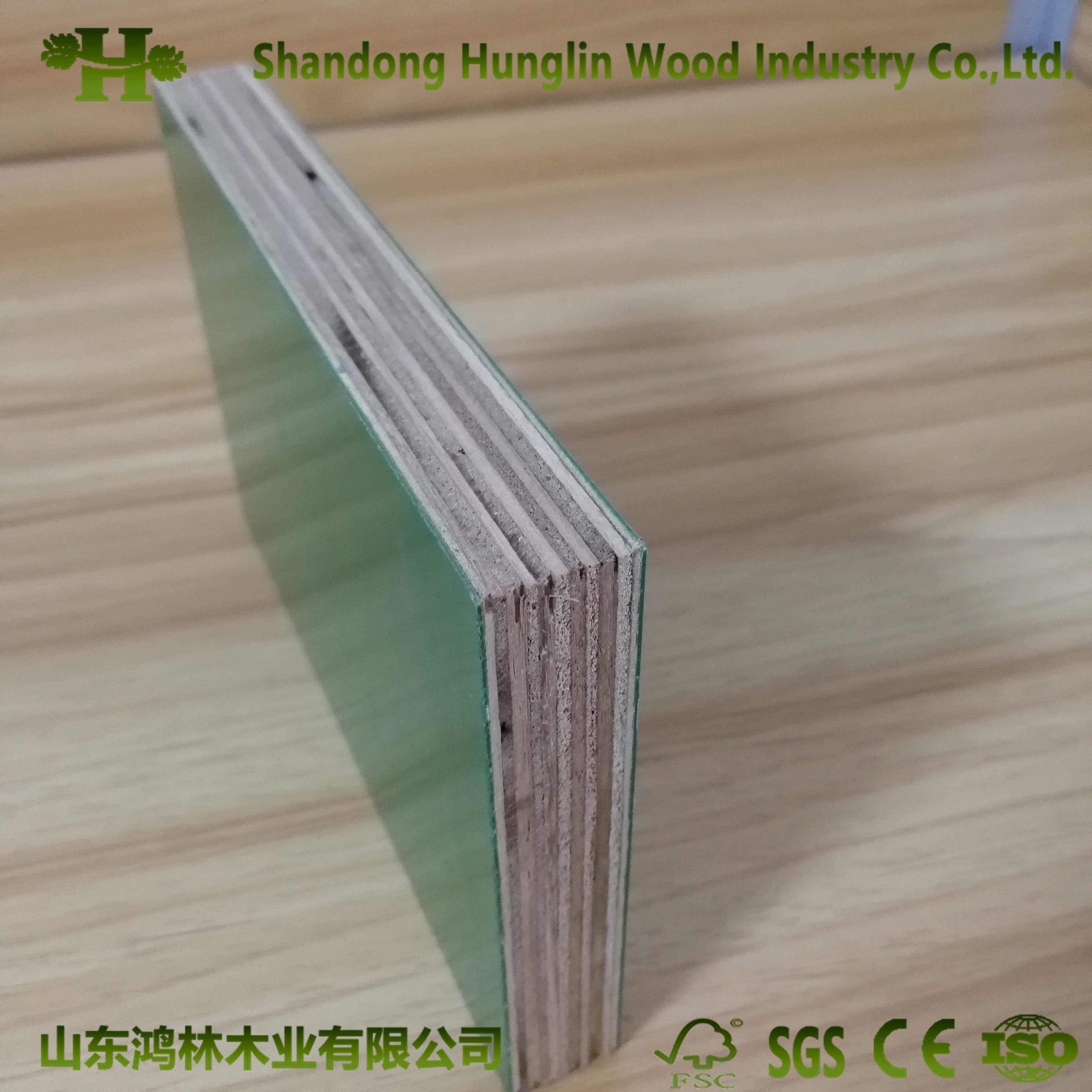 Reusable Glossy PP Plastic Polypropylene Film Faced Plywood for Construction Usage