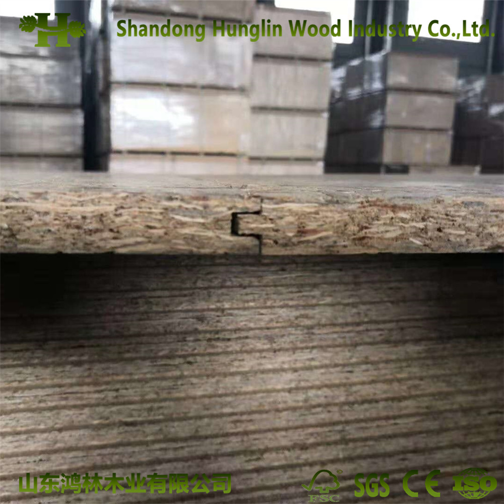 3-18mm OSB Board as Building and Decoration Material